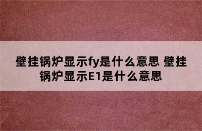 壁挂锅炉显示fy是什么意思 壁挂锅炉显示E1是什么意思